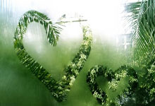 塞尔维亚队不断突破！，莱万多夫斯基连续十场比赛得分超过爆冷上演精彩一战的简单介绍